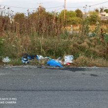 image-298425 Σχόλιο αναγνώστριας στο kozan.gr, για πεταμένα σκουπίδια στην οδό Μουσών στην Κοζάνη, στην είσοδο της πόλης, στο ύψος της παλαιάς γέφυρας (Φωτογραφίες)