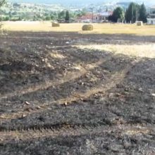 image-299056 kozan.gr: Φωτιά, από άγνωστη αιτία, σε χωράφι στο Βατερό Κοζάνης – Εικάζεται, από κατοίκους, ότι προκλήθηκε από σπινθήρα κολόνας της ΔΕΔΔΗΕ Α.Ε. – Τι λέει η Μαρίνα Τσακμάκη ιδιοκτήτρια του ποιμνιοστασίου που – βρίσκεται λίγα μέτρα πιο πάνω – και είχε καεί τέτοια εποχή πέρυσι – Κάνει λόγο για προβληματική ¨γραμμή” του δικτύου αγωνιώντας μη ξανασυμβεί κάτι παρόμοιο με πέρυσι (Βίντεο)