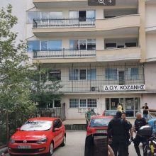 image-299758 kozan.gr: ΔΟΥ Κοζάνης: Σ’ ένα σάκο είχε κρυμμένο το τσεκούρι ο δράστης