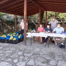 image-301174 Με επιτυχία πραγματοποιήθηκε η 4η διανομή τροφίμων στα Σέρβια στο πλαίσιο του προγράμματος ΤΕΒΑ