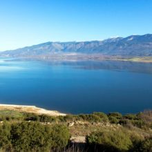 image-301738 Απαγόρευση αλιείας και κατανάλωσης της πέρκας (πρικιά) στη Λίμνη Πολυφύτου από τον Αντιπεριφερειάρχη Π.Ε. Κοζάνης