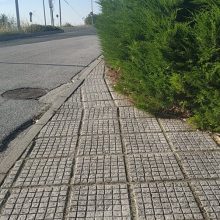 image-302975 Κοζάνη: Διαμαρτυρία αναγνώστριας, που μένει στην ΖΕΠ, στο kozan.gr: “Ας τα κόψει κάποιος επιτέλους” (Φωτογραφίες)