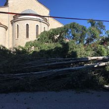 image-303050 Τα δέντρα και κομμένα είναι μάρτυρες….. η αλήθεια δεν κόβεται (Με αφορμή την κοπή των δέντρων στον Ι.Ν. Αγ. Μαρίνας Τσοτυλίου – Γράφει ο Αριστοτέλης K. Παπαϊωάννου)
