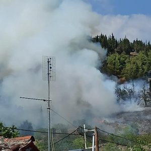 image-304293 Συναγερμός στην Τσαριτσάνη Ελλασόνας: Φωτιά σε δασική έκταση κοντά στο χωριό (Φωτογραφίες)