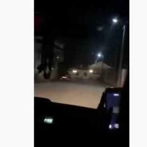 image-304369 Κωσταράζι Καστοριάς: Η στιγμή που μεγάλη αρκούδα εμφανίζεται μπροστά σε αυτοκίνητο στο κέντρο του χωριού