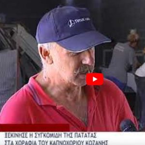 image-304423 Ξεκίνησε η συγκομιδή της πατάτας στα χωράφια του Καπνοχωρίου Κοζάνης – μειωμένες παραγωγή και τιμή (Βίντεο)