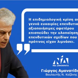 image-305047 Γιώργος Αμανατίδης: «Επενδύσεις και πανδημία: μία σχέση συγκρουσιακή και ασύμπτωτη;»