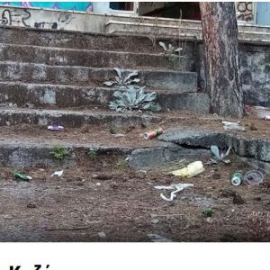 image-305270 “Σώστε τον Ξενία Κοζάνης” η νέα ομάδα στο facebook με σύνθημα “Φωνάζουμε, διαμαρτυρόμαστε, γινόμαστε μια φωνή”