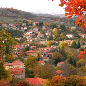 image-307028 Το Βόιο είναι εδώ, αλλά οι Βοιώτες; έφυγαν, φεύγουν, θα φύγουν! (Γράφει ο Βασίλης Παπαδημούλης)