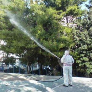 image-308698 Εργασίες φυτοπροστασίας/ψεκασμοί σε δένδρα της πόλης της Κοζάνης στην περιοχή Πλατάνια το βράδυ της Δευτέρας 21/9
