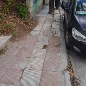 image-310041 Σχόλιο αναγνώστη στο kozan.gr: Κοζάνη: Τι θα γίνει με τα σπασμένα πλακάκια των πεζοδρομίων; (Φωτογραφίες)