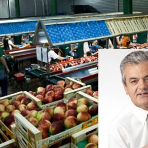 image-310032 300.000,00 € για τον εκσυγχρονισμό των Εγκαταστάσεων του ΑΣΟ Βελβεντού «Η ΔΗΜΗΤΡΑ»