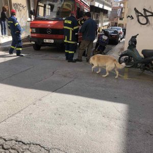 image-310331 kozan.gr: 92χρονη νεκρή στην οικία της επί της οδού Αθ. Διάκου στην Κοζάνη