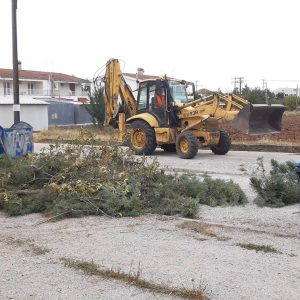 image-310665 kozan.gr: Πτολεμαίδα: Aπό τις εργατικές κατοικίες του Οικισμού Καρδιάς ξεκίνησαν σήμερα Δευτέρα 5/10, συνεργεία του Δήμου Εορδαίας, το νέο θεσμό “Εβδομάδα της γειτονιάς και της κοινότητας”, με τις παρεμβάσεις προς επίλυση ζητημάτων σχετιζόμενων με την καθημερινότητα και το πράσινο – Ικανοποίηση στους κατοίκους (Βίντεο)