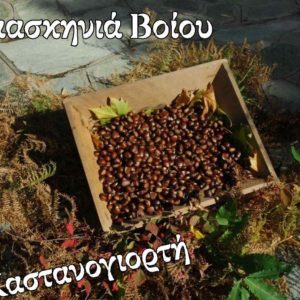 image-310754 Δαμασκηνιά Βοϊου: Mετά από 20 χρόνια ματαιώνεται η διοργάνωση της Καστανογιορτής (που είχε προγραμματιστεί για τις 25 Οκτωβρίου 2020).