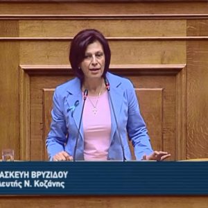image-315699 Παρασκευή Βρυζίδου: Στηρίζουμε τον εκσυγχρονισμό του Αγροτικού και Κτηνοτροφικού κλάδου με σημαντικά χρηματοδοτικά εργαλεία (Bίντεο)