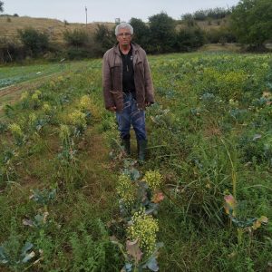 image-312917 kozan.gr: N. Κουρτίδης: “Εδώ είναι ο πρωτογενής τομέας. Με τα μέτρα της πολιτείας η παραγωγή μας λουλούδιασε στο χωράφι και ο κόπος μας πάει χαμένος”
