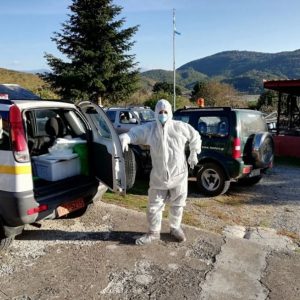 image-314031 Αυγή Κοζάνης: Κινητοποίηση του μηχανισμού αντιμετώπισης κρουσμάτων Αφρικανικής Πανώλης λόγω εντοπισμού νεκρού αγριόχοιρου – Αν και δεν υπήρχαν ευδιάκριτα τα χαρακτηριστικά συμπτώματα της νόσου, αναμένονται τα εργαστηριακά αποτελέσματα