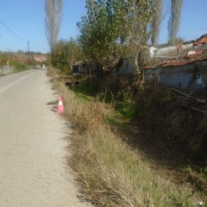 image-314490 Διαμαρτυρία της Προέδρου του τοπικού συμβουλίου Μικροβαλτου Μαρίας Βέττα