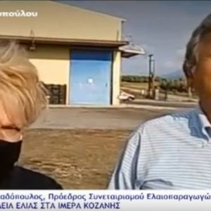 image-314691 Ξεκίνησε η συγκομιδή ελιάς στα Ίμερα Σερβίων (Βίντεο)