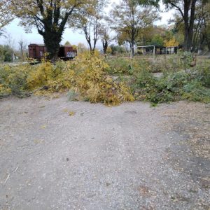 image-315507 kozan.gr: Πτολεμαΐδα: Συμπολίτες μας καθάρισαν εθελοντικά και καλλώπισαν τον όμορφο χώρο στο Σταθμό του ΟΣΕ (Φωτογραφίες)