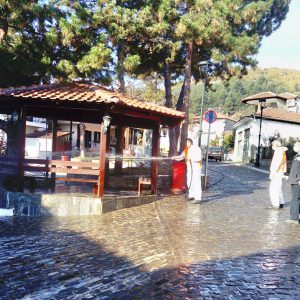 image-316675 Απολυμάνσεις σε κοινόχρηστους χώρους των Κοινοτήτων και πλύσεις κάδων από το Δήμο Εορδαίας