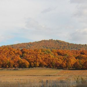 image-317247 Μαγευτικές εικόνες, από τις μοναδικές Καμβουνιώτικες φυσικές ομορφιές