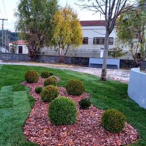 image-317292 Δήμος Γρεβενών: Όμορφες “πράσινες” παρεμβάσεις σε πολλά σημεία της πόλης