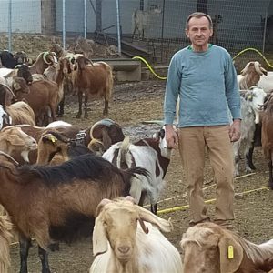 image-317890 Μαθήματα επιχειρείν με 1200 γίδια στην Κοζάνη και στόχο ετικέτα σε τυρί και γιαούρτι
