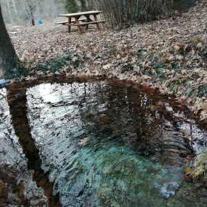 image-317992 Δήμος Γρεβενών: Εντάχθηκε στο πρόγραμμα LEADER το έργο της ολικής ανάπλασης της περιοχής “Μοναστήρι” στο Τοπικό Διαμέρισμα Νησίου