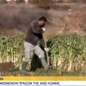 image-318030 Τα φημισμένα πράσα της Άνω Κώμης – Η σημερινή ζωντανή σύνδεση της ΕΡΤ σ’ ένα από τα “πρασο-χώραφα” (Βίντεο)