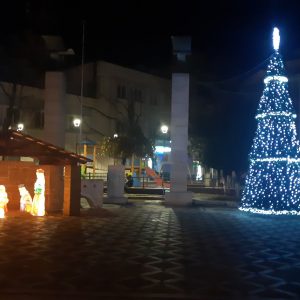 image-320270 kozan.gr: Φωταγωγήθηκε, το απόγευμα της Πέμπτης 10/12, το χριστουγεννιάτικο δέντρο στην κεντρική πλατεία Πτολεμαϊδας (Φωτογραφίες & Βίντεο)