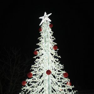 image-320551 Δήμος Γρεβενών: Άναψε το Χριστουγεννιάτικο Δέντρο της Κεντρικής Πλατείας-Το μήνυμα του Δημάρχου και η Εορταστική Εκδήλωση των Παιδιών (Βίντεο & Φωτογραφίες)