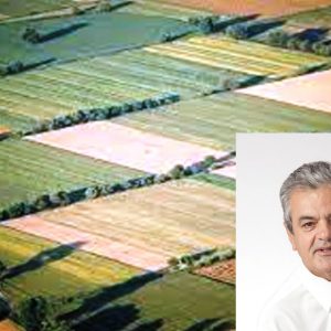 image-320999 1.028.000 ευρώ για 4 αναδασμούς σε Σπάρτο, Καισαρειά, Σισάνι και Λουκόμι της Π.Ε. Κοζάνης