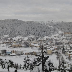 image-322294 Σύλλογος Βλατσιωτών Πτολεμαΐδας «Ο Προφήτης Ηλίας»: «Τα Κόλιαντα μας ενώνουν» – Βράδυ Τετάρτης 23-12 κι ώρα 21:00