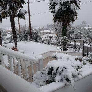 image-325760 kozan.gr: Οι χιονισμένοι φοίνικες στην Αύρα Σερβίων (Κοινότητα Ιμέρων)