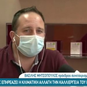 image-326862 kozan.gr: Από το Κασμίρ μέχρι την Κοζάνη, η παραγωγή κρόκου ή σαφράν μειώνεται λόγω της κλιματικής αλλαγής – Tι λένε για το θέμα o Πρόεδρος του Συνεταιρισμού Βασίλης Μητσόπουλος & ο Γεωπόνος Δημήτρης Ζυμάρας (Βίντεο)