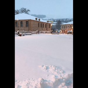 image-330669 Δήμος Βοΐου: Αύριο δεν θα γίνει αποκομιδή των σκουπιδιών σε όλες τις δημοτικές ενότητες και παρακαλούνται οι δημότες να μην μεταφέρουν τα σκουπίδια τους στους κάδους.