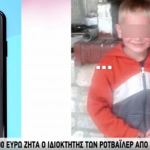 image-331081 kozan.gr: H μητέρα του αδικοχαμένου Στάθη μίλησε στο Star μετά τη μήνυση που υπέβαλε, σε βάρος της, για συκοφαντική δυσφήμηση, ο ιδιοκτήτης των ροτβάιλερ – Τι λέει για το θέμα ο δικηγόρος της οικογενείας Ζ. Βρίκος (Βίντεο)