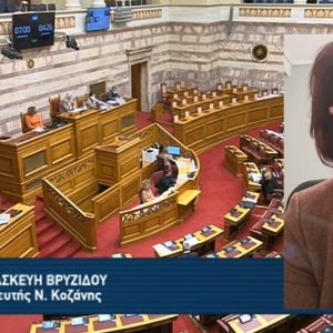 image-331518 Ομιλία της Παρασκευής Βρυζίδου στην Ολομέλεια της Βουλής στη συζήτηση του νομοσχεδίου για τα Οπτικοακουστικά Μέσα Ενημέρωσης (Βίντεο)