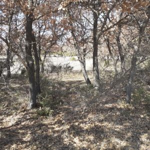 image-333295 Καθαρή ενέργεια σε μια τριτοκοσμική χώρα (του Κώστα Μιμίκου)