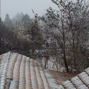 image-335851 kozan.gr: Ώρα 12.00: Πυκνή χιονόπτωση στην Ποντοκώμη (Βίντεο)