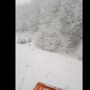 image-335862 kozan.gr: 12:30: Aυτό είναι χιόνι – Βίντεο στο δρόμο για τη Βλάστη Εορδαίας στη θέση “Αρκουδόπετρα” (Βίντεο)