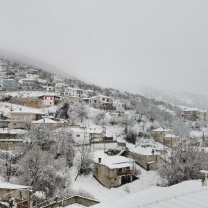 image-335958 Πανέμορφες φωτογραφίες από το “κατάλευκο” Μεταξά Σερβίων