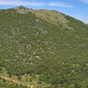 image-336137 Επιτροπή Αγώνα Σιάτιστας: “ΚΑΤΩ ΤΑ ΧΕΡΙΑ ΑΠΟ ΤΟ ΜΠΟΥΡΙΝΟ, ΤΑ ΣΧΕΔΙΑ ΣΑΣ ΔΕΝ ΘΑ ΠΕΡΑΣΟΥΝ”