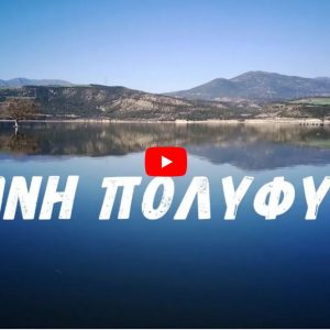 image-336882 Η Πανέμορφη Λίμνη Πολυφύτου από ψηλά – Σε μόλις 4 λεπτά μια απέραντη ομορφιά (Βίντεο)