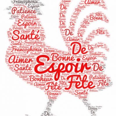 image-339036 Με μεγάλη επιτυχία ολοκληρώθηκε η διαδικτυακή δράση του Συλλόγου Καθηγητών Γαλλικής γλώσσας Ν. Κοζάνης με τίτλο Passons un message positif