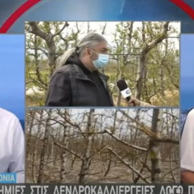image-339368 kozan.gr: Σε 45χιλιάδες στρέμματα οπωροφόρων δέντρων αποτιμάται η ζημιά που άφησε πίσω της η κακοκαιρία που χτύπησε την Δυτική Μακεδονία – Σε απόγνωση οι παραγωγοί – H σημερινή ζωντανή σύνδεση της ΕΡΤ3 με την περιοχή του Βελβεντού (Βίντεο)