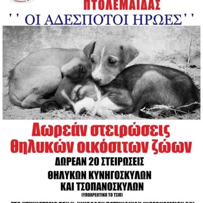 image-340124 Φιλοζωικό Σωματείο Προστασίας Αδέσποτων Ζώων Πτολεμαϊδας “Οι Αδέσποτοι Ήρωες”: 20 ΔΩΡΕΆΝ στειρώσεις για οικόσιτα ζώα