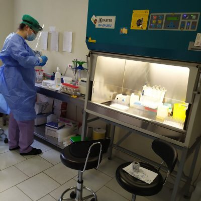 image-340636 1 έτος συνεχούς λειτουργίας του Εργαστηρίου Μοριακής Βιολογίας του Γενικού Νοσοκομείου Κοζάνης «ΜΑΜΑΤΣΕΙΟ» – Μέχρι σήμερα έχουν αποσταλεί προς εξέταση 90.000 δείγματα αυτά, περίπου το 1/3 των δειγμάτων (30.000) προέρχονται από την Π.Ε. Κοζάνης, ενώ τα υπόλοιπα 60.000 από τις Π.Ε. Γρεβενών, Καστοριάς, Φλώρινας, Ημαθίας και Πέλλας